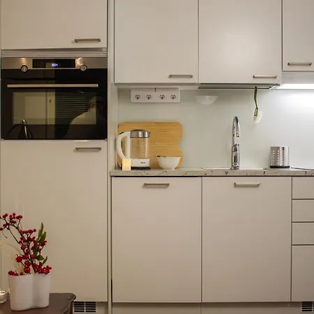 With Great Connections Near Airport, Tikkurila * Vantaa